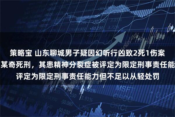策略宝 山东聊城男子疑因幻听行凶致2死1伤案一审宣判：被告人刘某奇死刑，其患精神分裂症被评定为限定刑事责任能力但不足以从轻处罚
